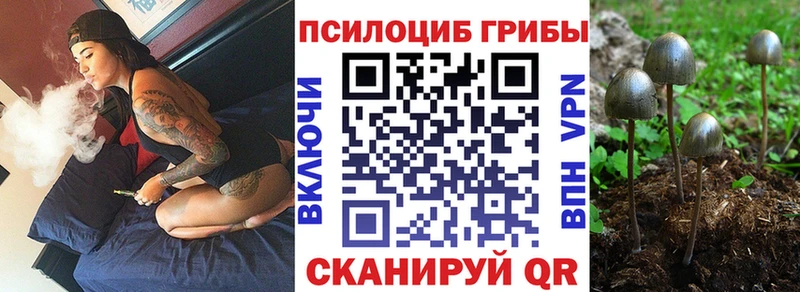 Купить закладки Пойковский Галлюциногенные грибы Magic Shrooms